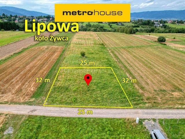 Grunt na sprzedaż w Brzeziny, Lipowa