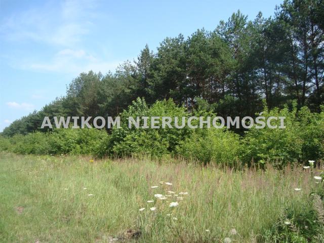 Grunt na sprzedaż w Tarczyn, Mazowieckie