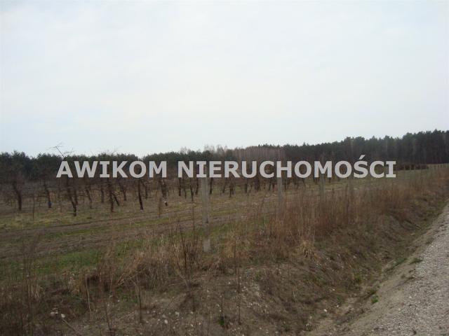 Grunt na sprzedaż w Tarczyn, Mazowieckie