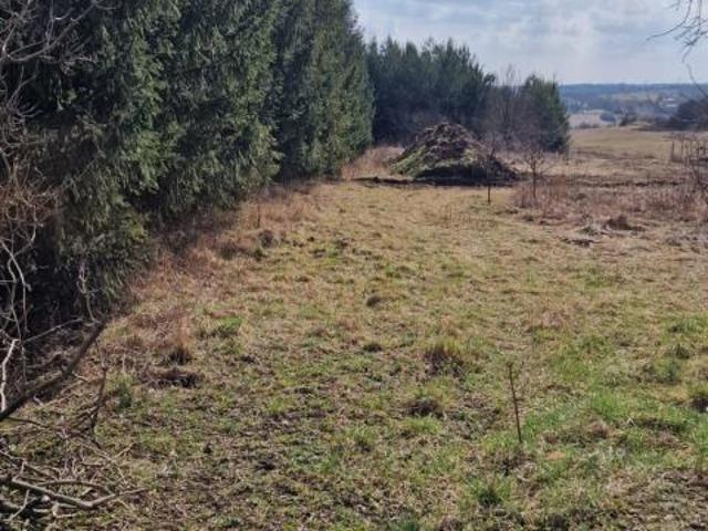 Grunt na sprzedaż w Sadowie, Śląskie