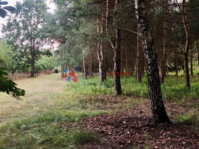 Grunt na sprzedaż w Mieszkowo, Mazowieckie