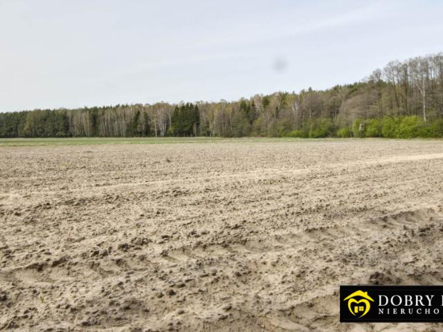 Grunt na sprzedaż w Milejczyce, Podlaskie