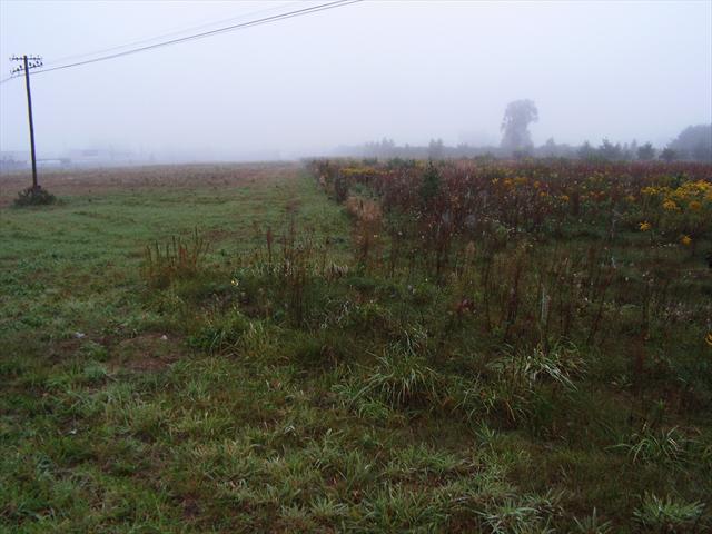 Grunt na sprzedaż w Nadarzyn, Mazowieckie