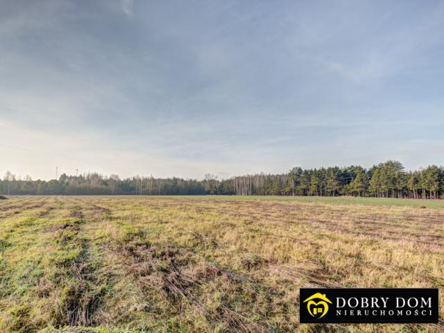 Grunt na sprzedaż w Narewka, Podlaskie