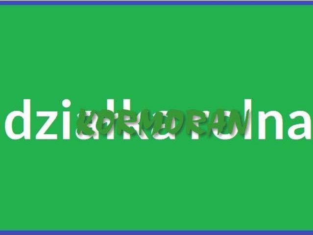 Grunt na sprzedaż w Niemodlin, Opolskie