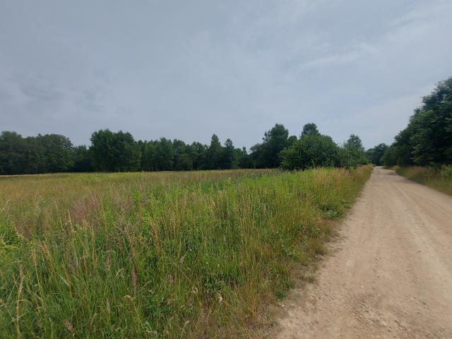 Grunt na sprzedaż w Ożarowice, Śląskie