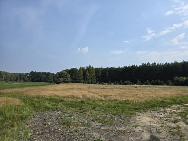 Grunt na sprzedaż w Ożarowice, Śląskie