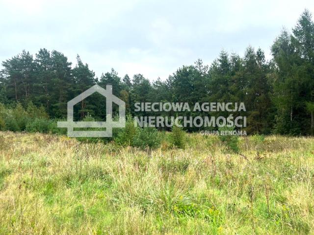 Grunt na sprzedaż w Przodkowo, Pomorskie