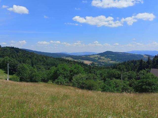 Grunt na sprzedaż w Przyszowa, Małopolskie
