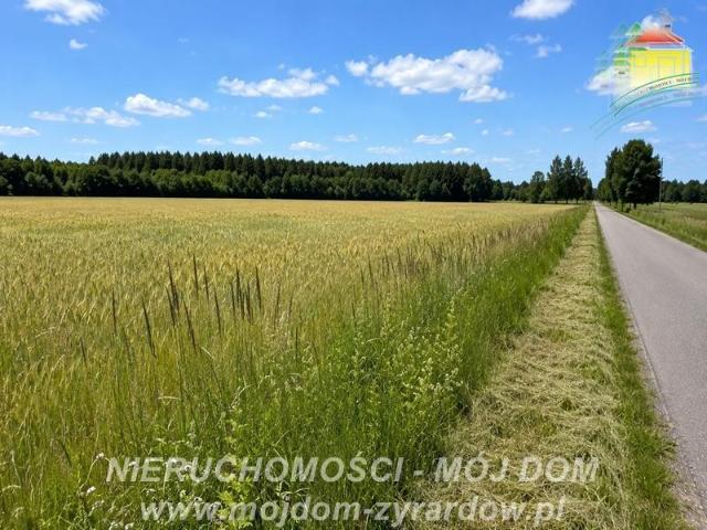 Grunt na sprzedaż w Studzieniec, Mazowieckie