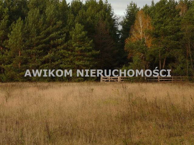 Grunt na sprzedaż w Puszcza Mariańska, Mazowieckie