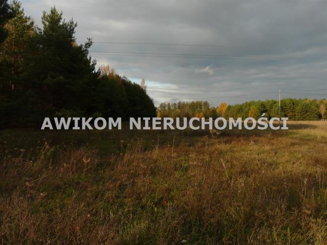 Grunt na sprzedaż w Puszcza Mariańska, Mazowieckie