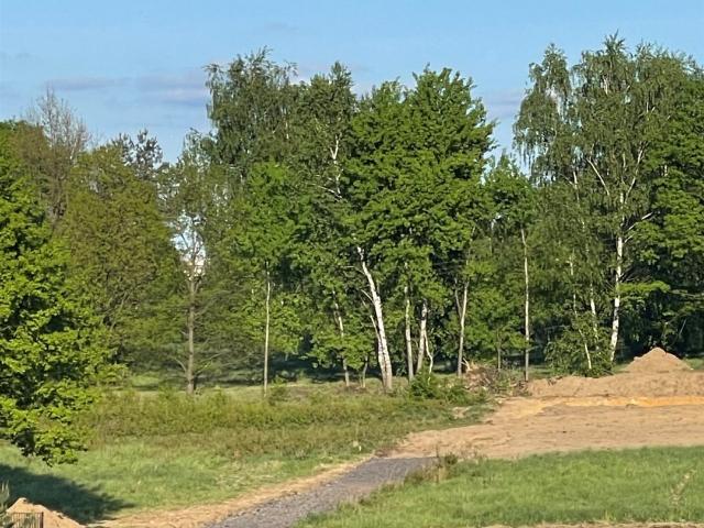 Grunt na sprzedaż w Rybnik, Śląskie