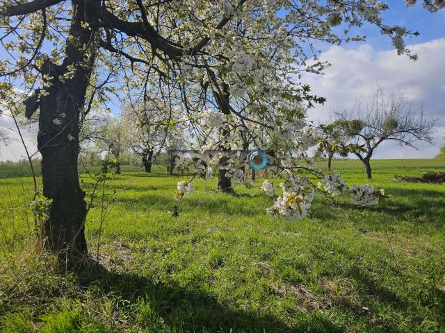 Grunt na sprzedaż w Rzeczyca, Lubelskie
