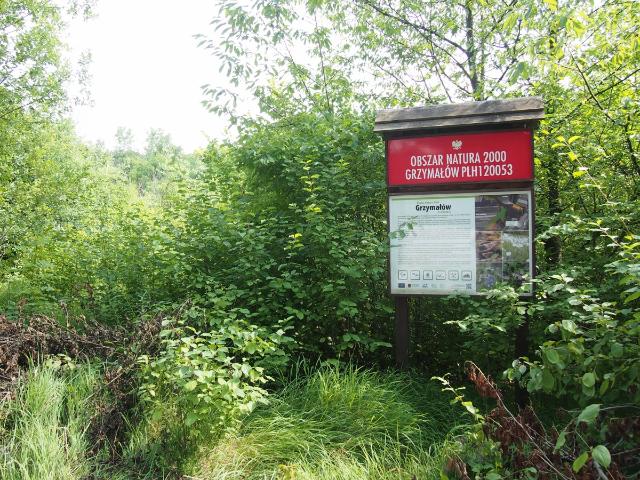 Grunt na sprzedaż w Słaboszów, Małopolskie