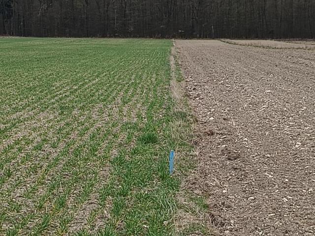 Grunt na sprzedaż w Sędziszów, Świętokrzyskie