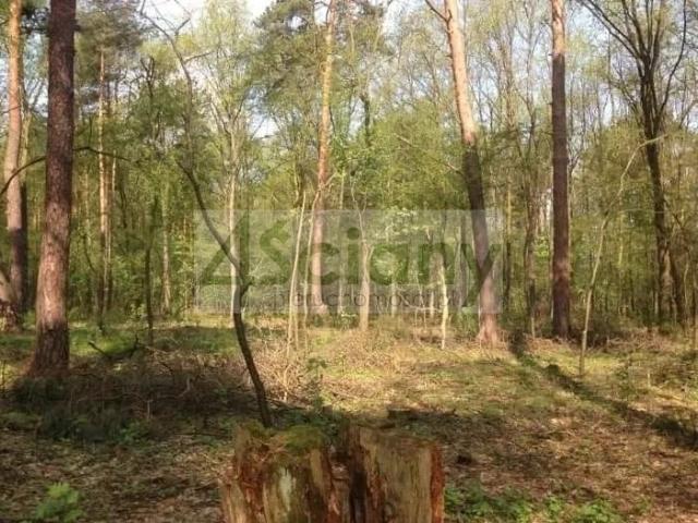 Grunt na sprzedaż w Sękocin-Las, Mazowieckie
