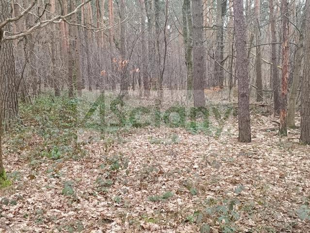 Grunt na sprzedaż w Sękocin-Las, Mazowieckie