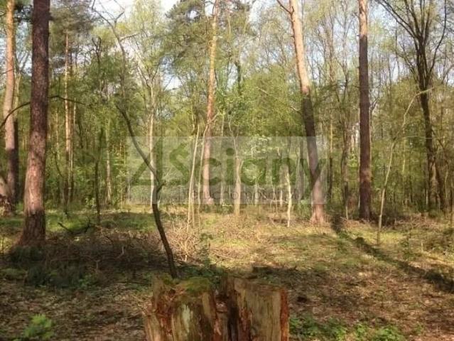 Grunt na sprzedaż w Sękocin-Las, Mazowieckie