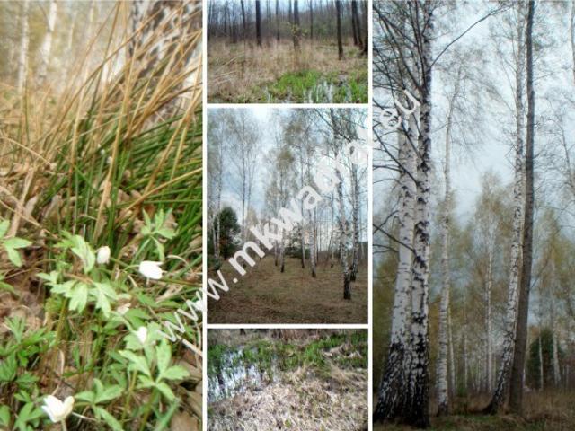 Grunt na sprzedaż w Słubica B, Mazowieckie