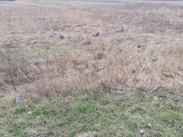 Grunt na sprzedaż w Siechnice, Dolnośląskie