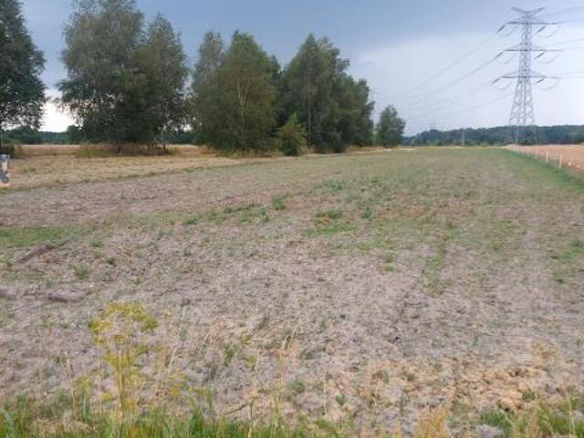 Grunt na sprzedaż w Siewierz, Śląskie