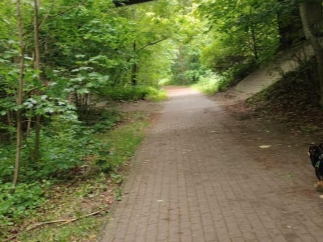 Grunt na sprzedaż w Skarszewy, Pomorskie
