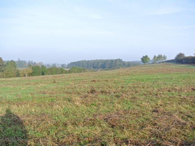 Grunt na sprzedaż w Sobków-Nida, Sobków