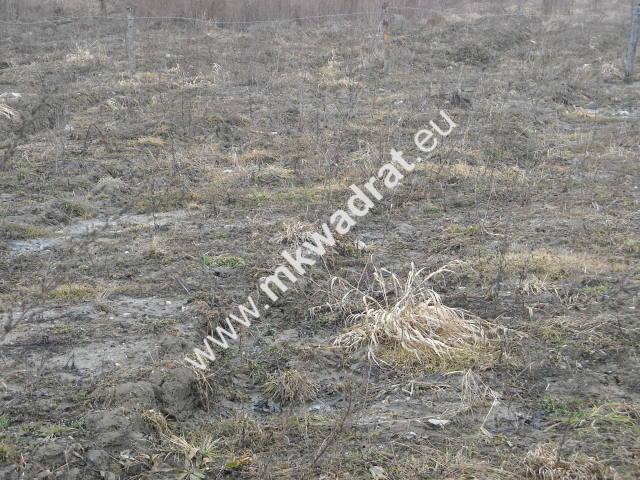 Grunt na sprzedaż w Sochaczew, Mazowieckie