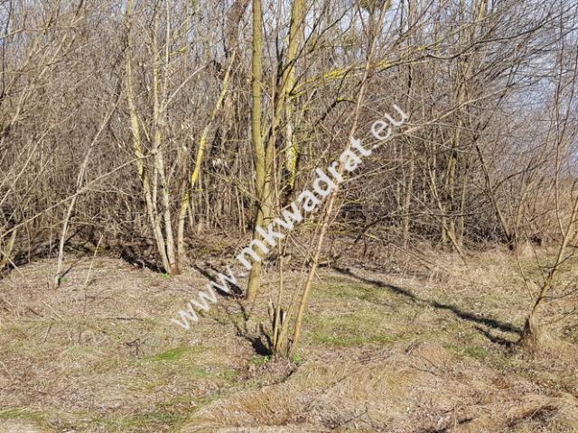 Grunt na sprzedaż w Sochaczew, Mazowieckie