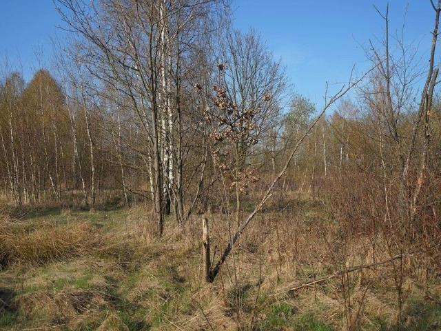 Grunt na sprzedaż w Stanisławów, Mazowieckie