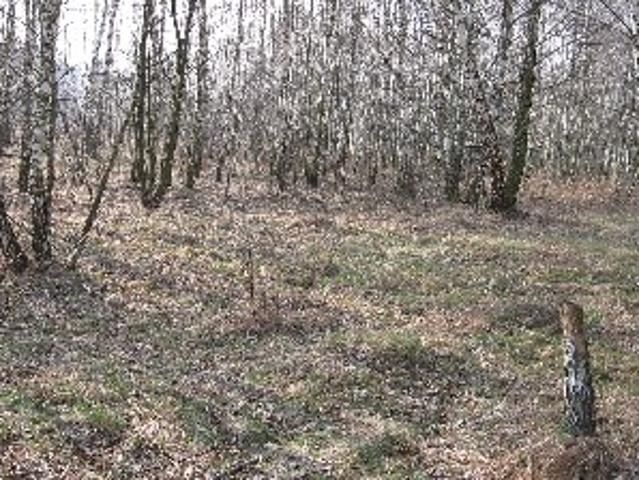 Grunt na sprzedaż w Łąck, Mazowieckie