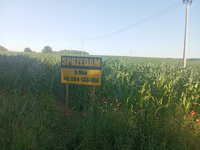 Grunt na sprzedaż w Stary Dzierzgoń, Pomorskie