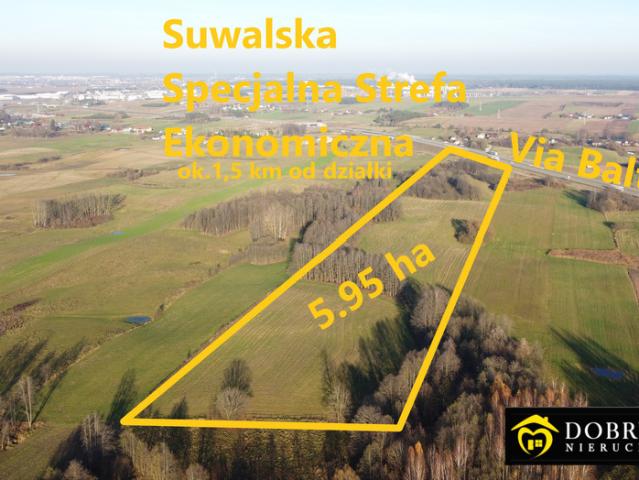 Grunt na sprzedaż w Suwałki, Podlaskie