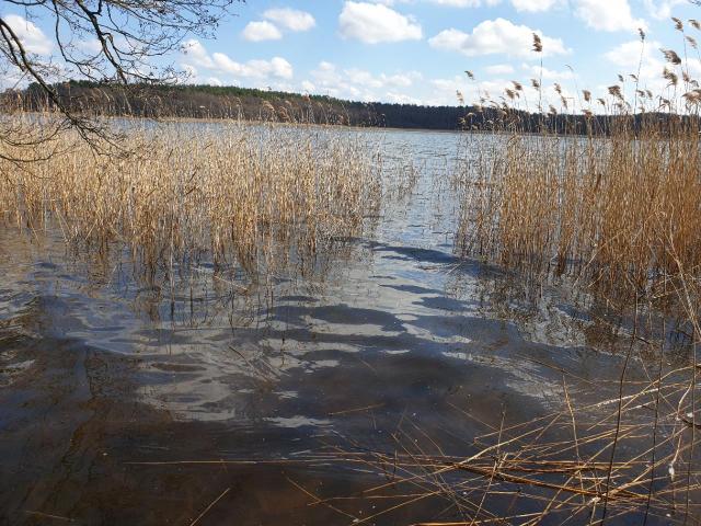 Grunt na sprzedaż w Szczytno, Warmińsko-mazurskie