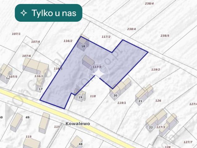 Grunt na sprzedaż w Szlichtyngowa, Lubuskie