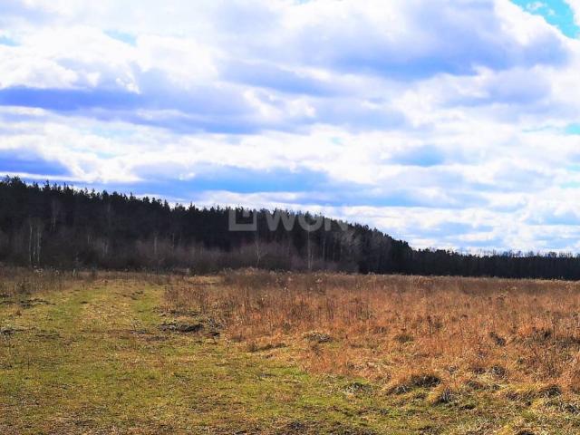 Grunt na sprzedaż w Szprotawa, Lubuskie
