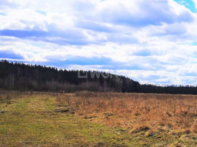 Grunt na sprzedaż w Zarzecze, Szprotawa
