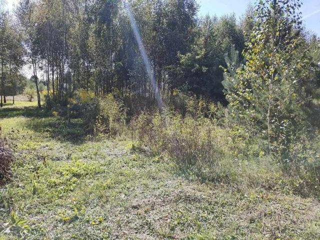Grunt na sprzedaż w Teodorów, Mazowieckie