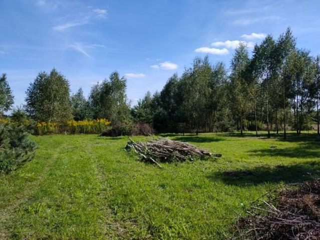 Grunt na sprzedaż w Teodorów, Mazowieckie