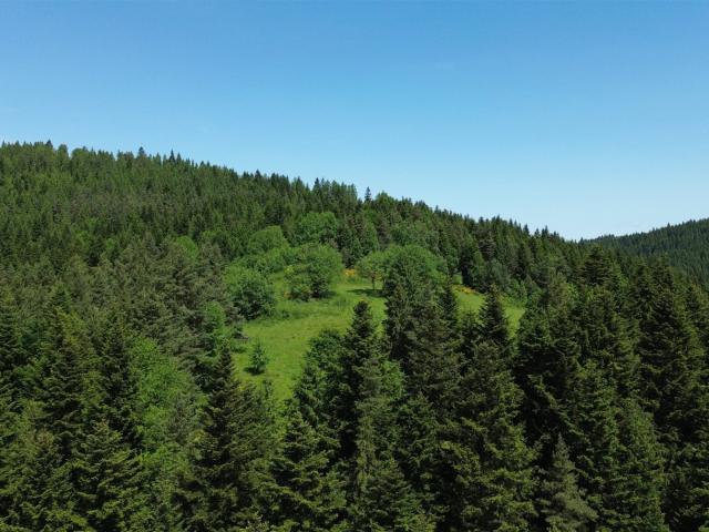 Grunt na sprzedaż w Mszana Dolna, Małopolskie
