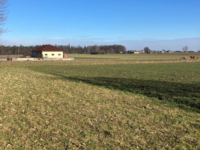 Grunt na sprzedaż w Tuszyn, Łódzkie