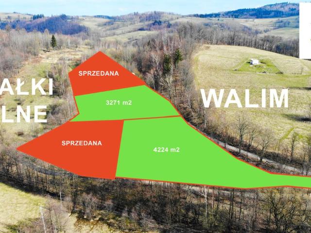 Grunt na sprzedaż w Walim, Dolnośląskie