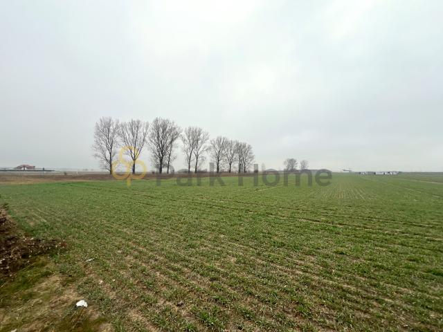 Grunt na sprzedaż w Święciechowa, Wielkopolskie