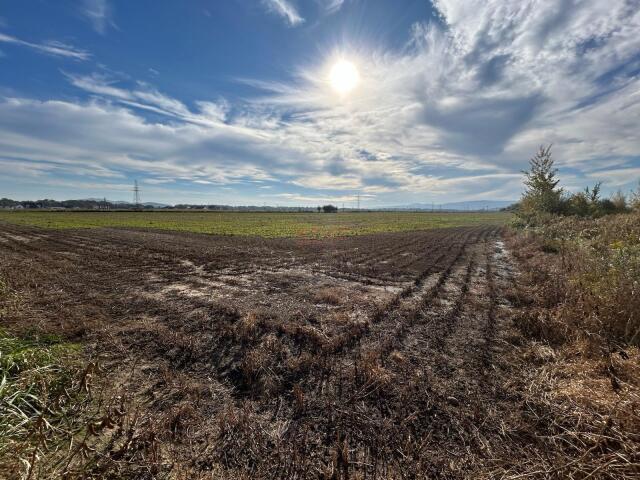 Grunt na sprzedaż w Świdnica, Dolnośląskie