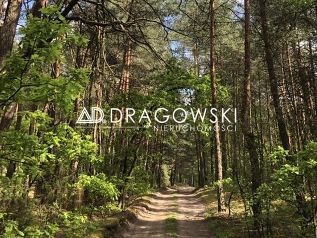 Grunt na sprzedaż w Wilga, Mazowieckie