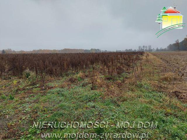 Grunt na sprzedaż w Miedniewice, Mazowieckie