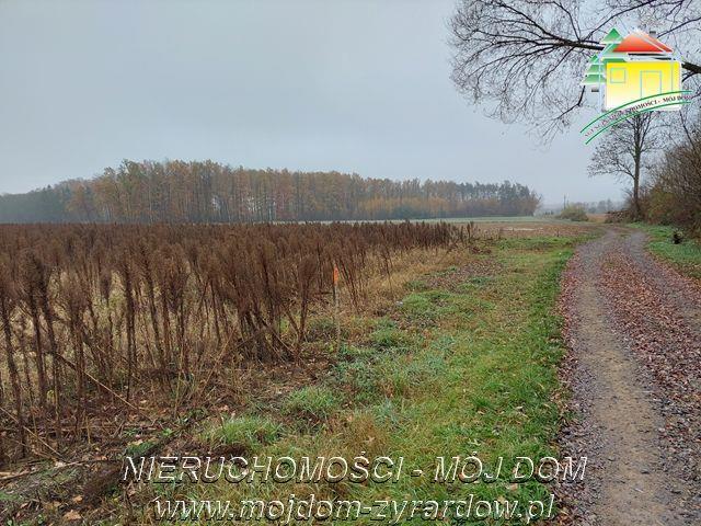 Grunt na sprzedaż w Miedniewice, Mazowieckie