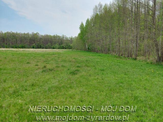 Grunt na sprzedaż w Tomaszew, Mazowieckie