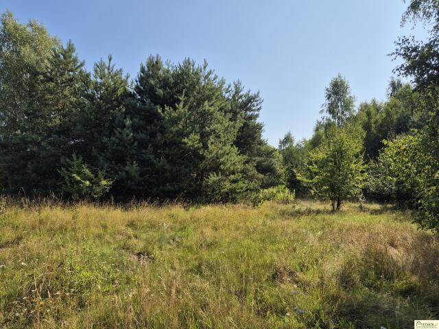 Grunt na sprzedaż w Wodynie, Mazowieckie